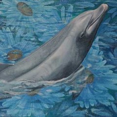 Fine Art Paintings – Dolphin