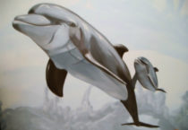 dolphin mural